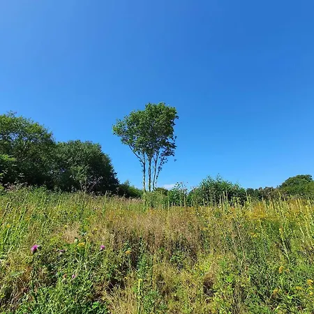 度假居 4 Star In Bagenkop