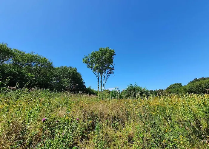 Casa de Férias 4 Star In Bagenkop
