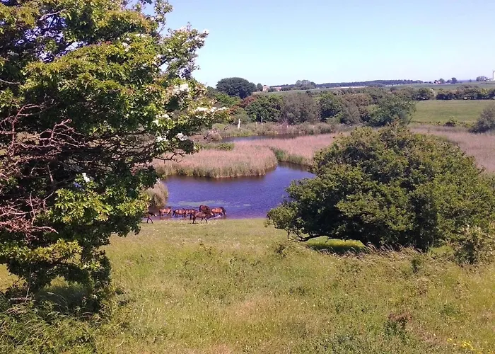 Casa de Férias 4 Star In